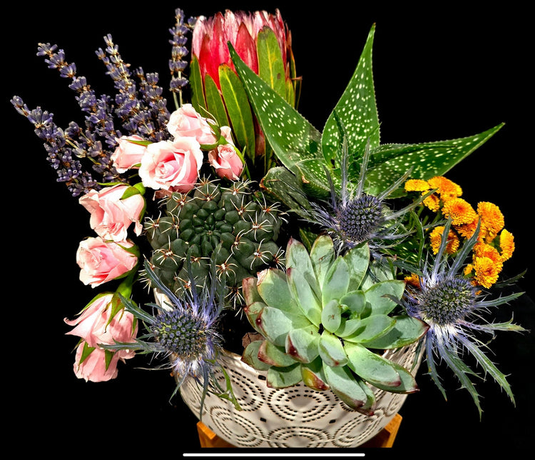 Live Plant Arrangements