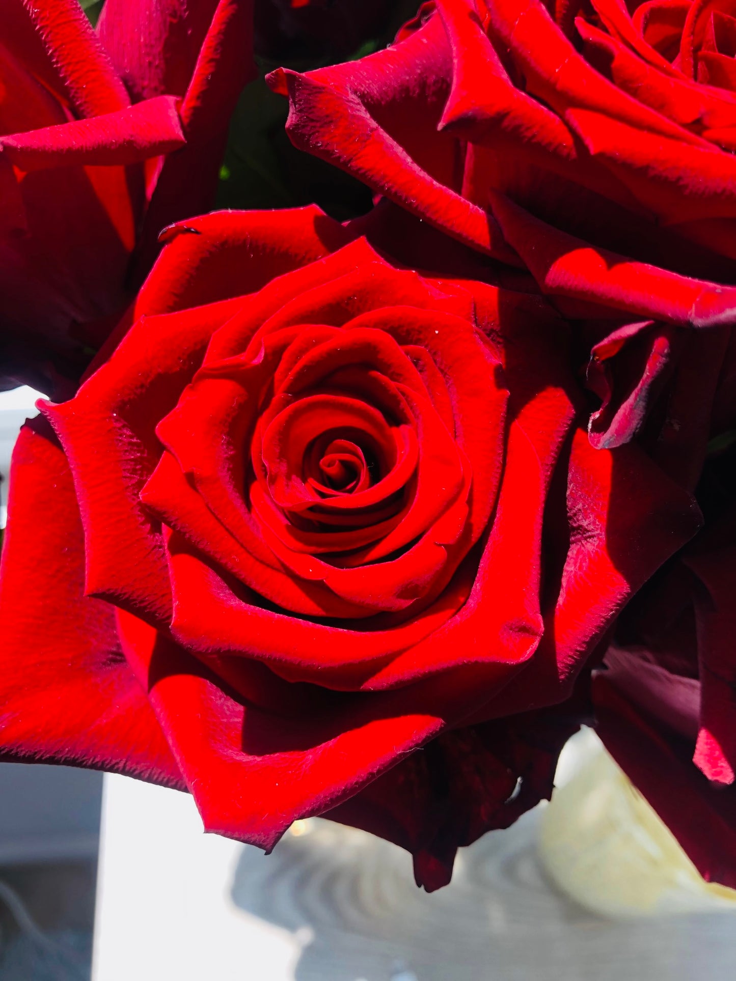 Classic Red Rose Bouquet