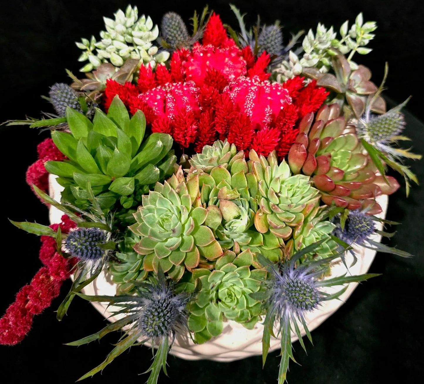 Live Plants