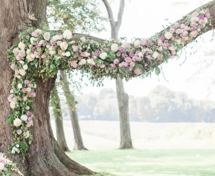 Wedding Arbors
