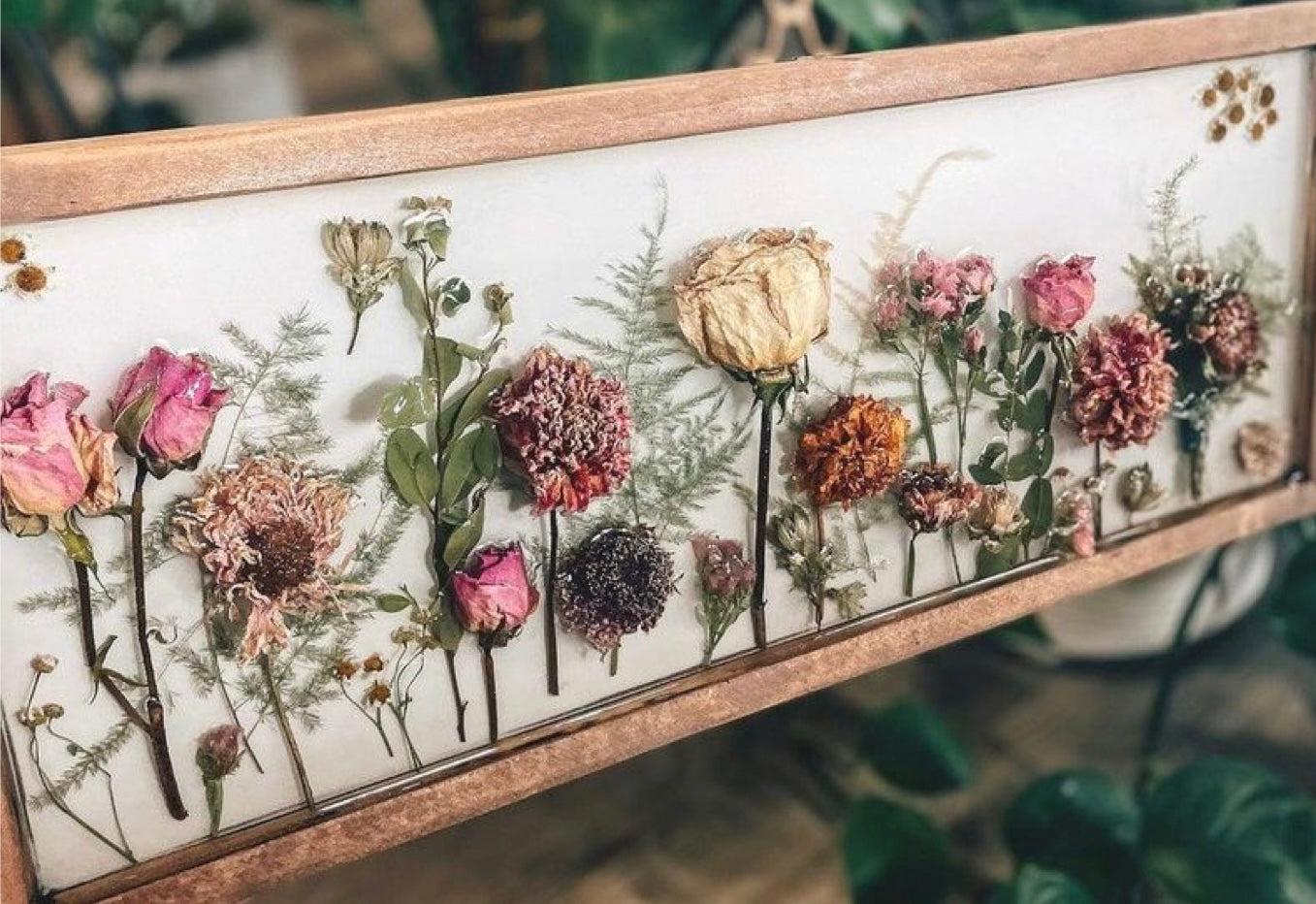 Premium Flower Preservation Service - Memorial Keepsake Frames