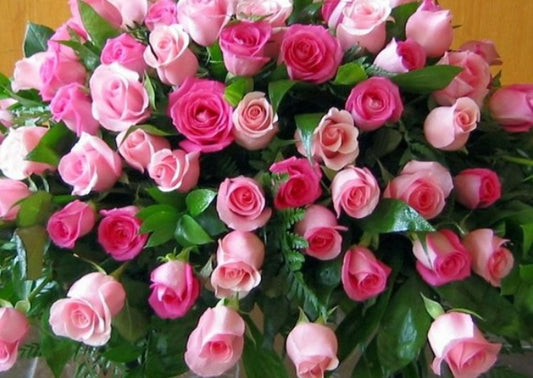 Complete Funeral Packages - Compassionate Memorial Arrangements
