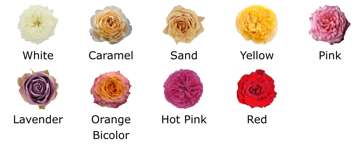 Premium All-Rose Funeral Packages - Elegant Memorial Arrangements