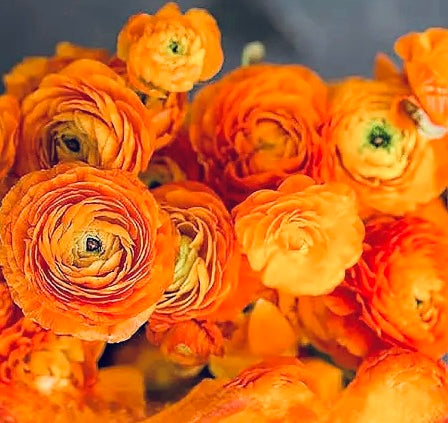 Bouquet Bar Party Atlanta - Interactive DIY Flower Experience & Party Favors