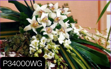 Premium Casket Sprays - Beautiful Funeral Flower Arrangements