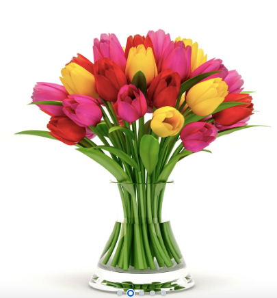 Premium Fresh Tulip Bouquets - Vibrant Spring Flower Arrangements