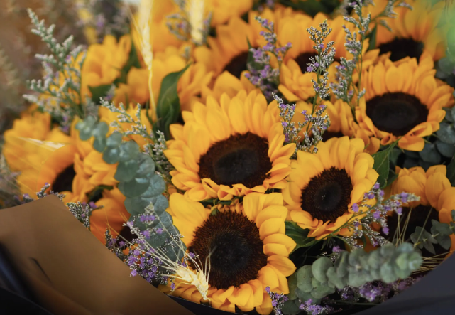 Premium Fresh Sunflower Bouquets - Bright Yellow Flower Arrangements