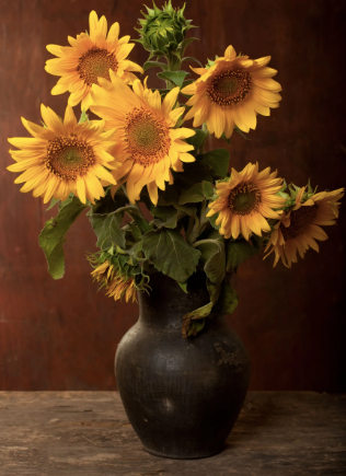 Premium Fresh Sunflower Bouquets - Bright Yellow Flower Arrangements