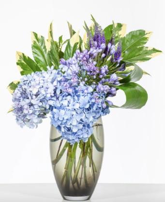 Hydrangeas Bouquet