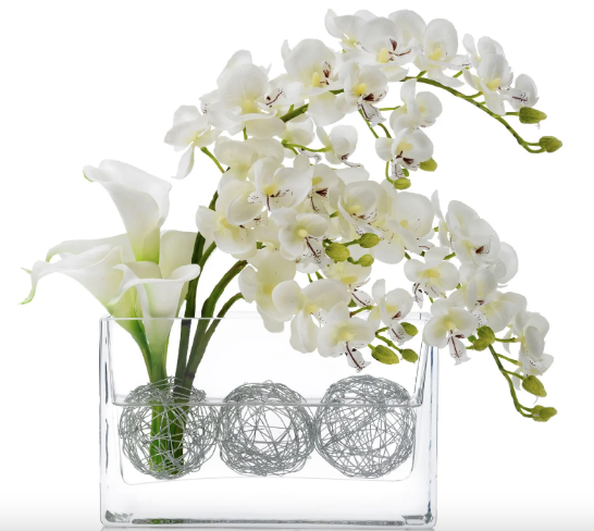 Premium Orchid Collection
