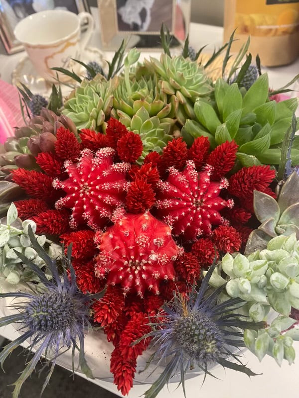 Live Plants