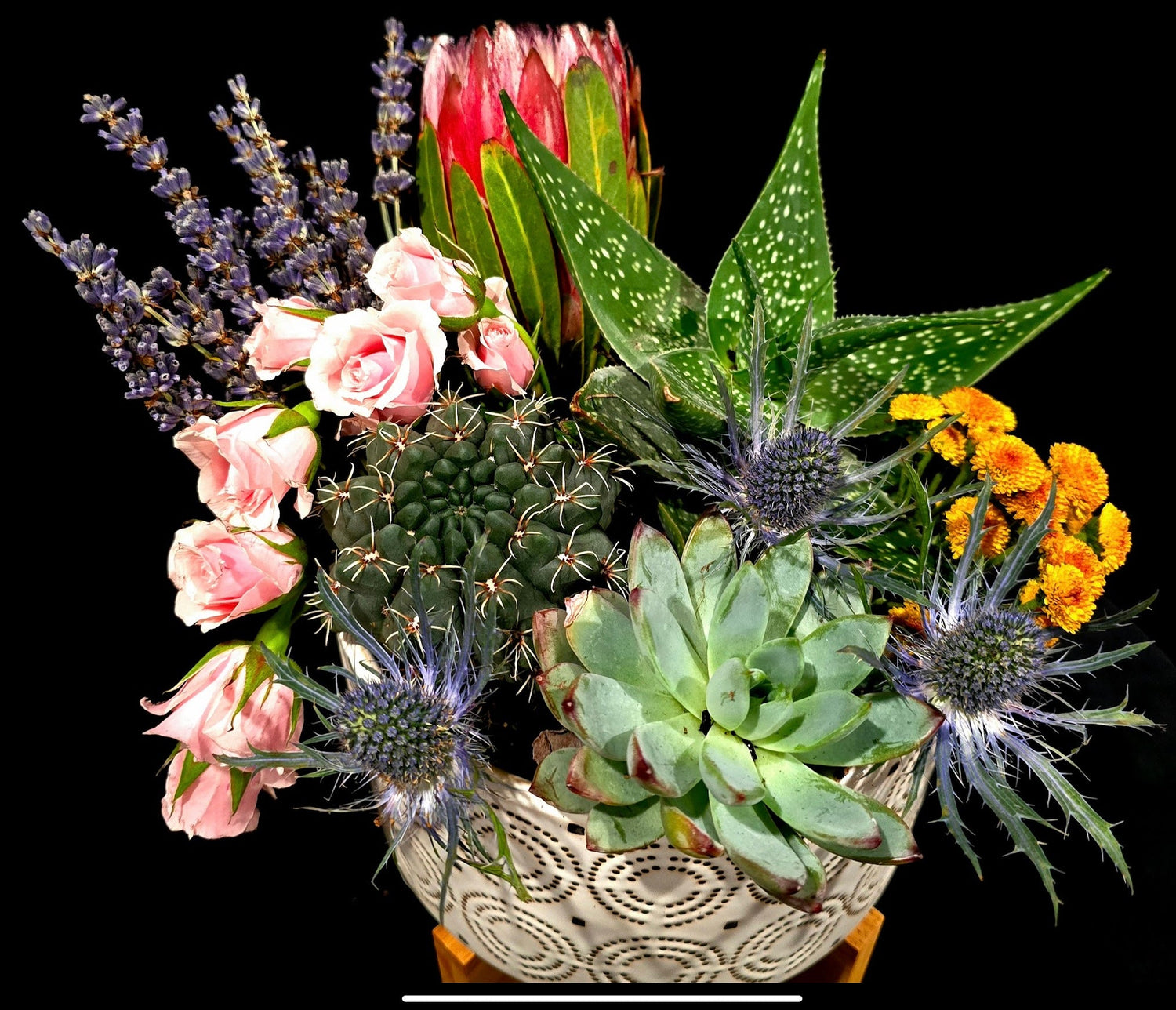 Live Plant Arrangements