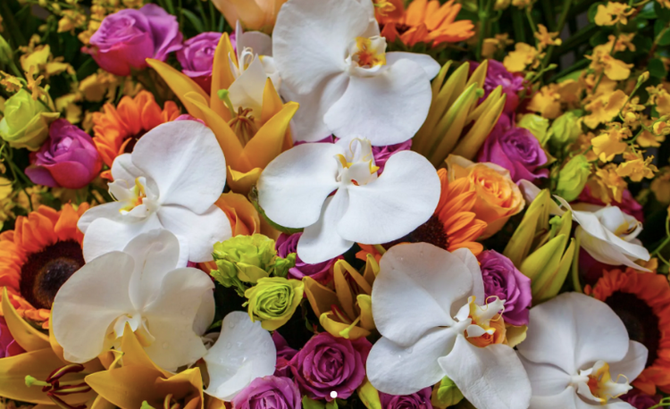 Funerals and Memorials