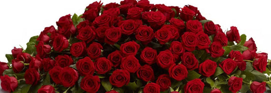 Premium All-Rose Funeral Packages - Elegant Memorial Arrangements