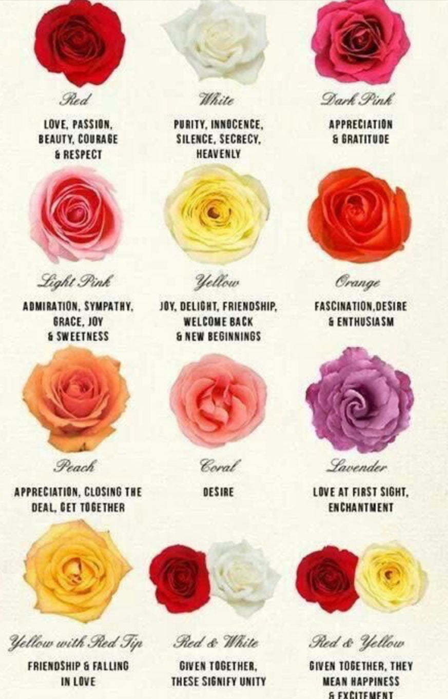 Premium All-Rose Funeral Packages - Elegant Memorial Arrangements