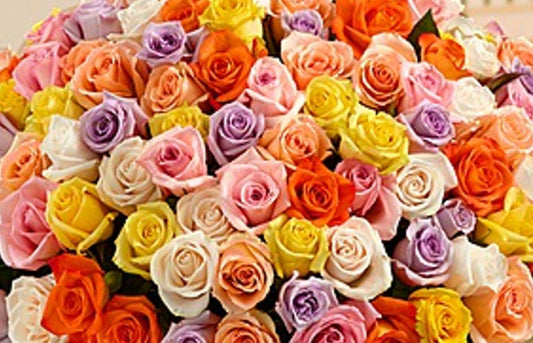 Multi-Colored Funeral Package - Vibrant Memorial Arrangements