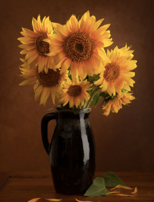 Premium Fresh Sunflower Bouquets - Bright Yellow Flower Arrangements